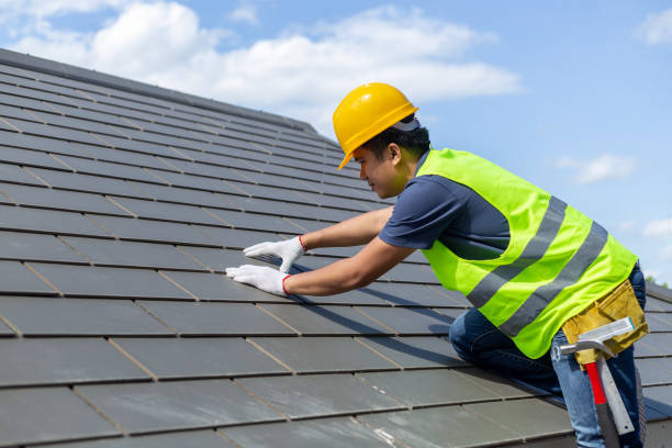 Best Storm Damage Roof Repair  in Diboll, TX
