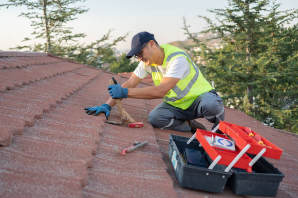 Best Metal Roofing Contractor  in Diboll, TX